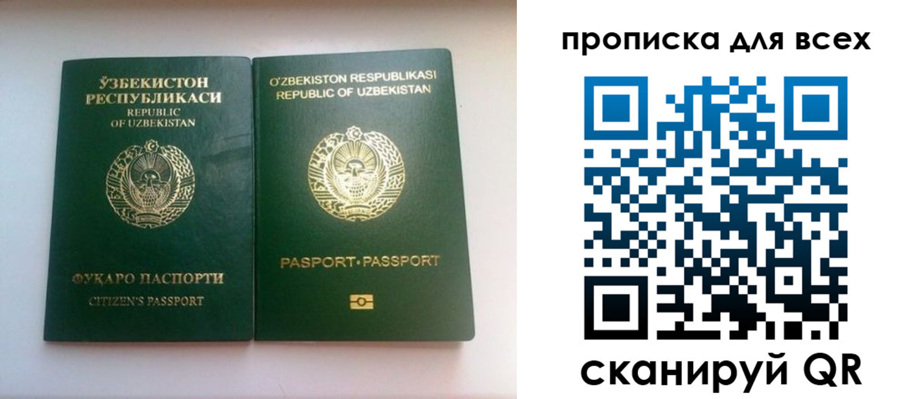 прописка для школы в Троицке
